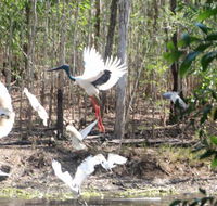 Rakhi Retreat - Accommodation Gold Coast