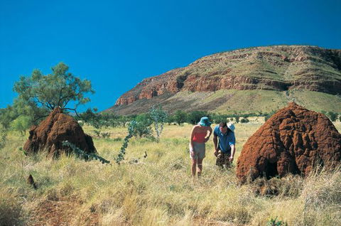 Wolfe Creek Crater Camp At Wolfe Creek Crater National Park - Gold Coast 4U 19