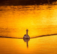 River Shack Rentals - Living the Dream - Accommodation Gold Coast