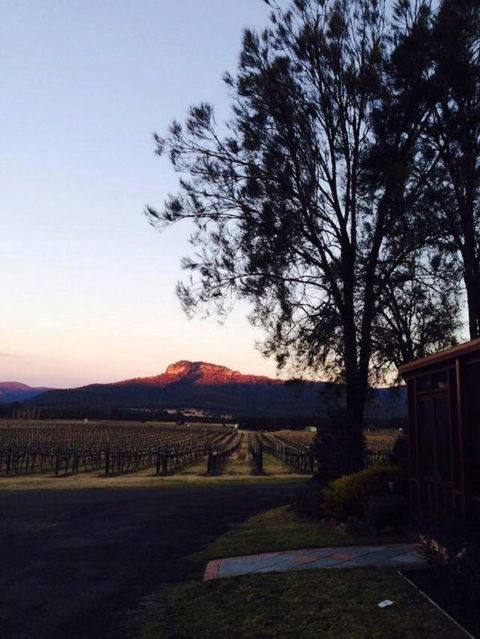 Nightingale Wines Luxury Villas - Accommodation Gold Coast 1