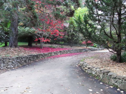 The Jungle Lodge, Blue Mountains Botanic Gardens - Accommodation Gold Coast 5