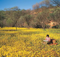 Miners Camp at Coalseam National Park - Accommodation Gold Coast