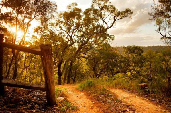 Blaxlands Ridge NSW Accommodation Gold Coast