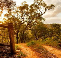 Kurrajong Trails and Cottages - Accommodation Gold Coast