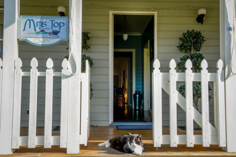 Mrs Top At Milton Bed And Breakfast - Accommodation Gold Coast 1