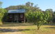Peach Tree Cabin - thumb 0