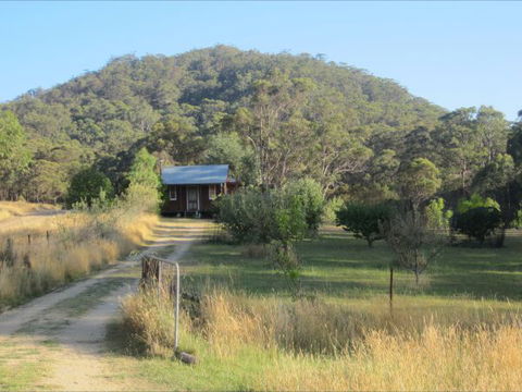 Peach Tree Cabin - Accommodation Gold Coast 1
