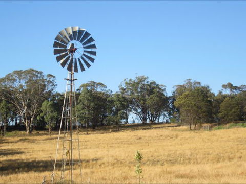 Peach Tree Cabin - Accommodation Gold Coast 8