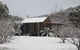 Peach Tree Cabin - thumb 9