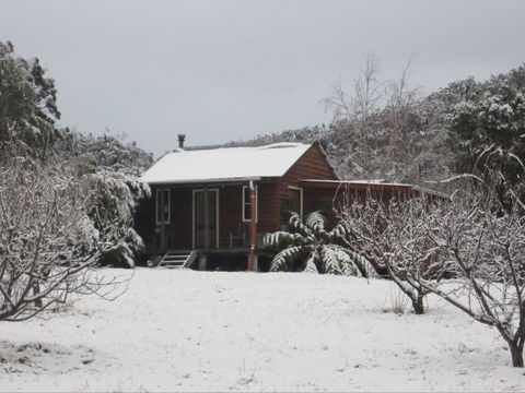 Peach Tree Cabin - Accommodation Gold Coast 9