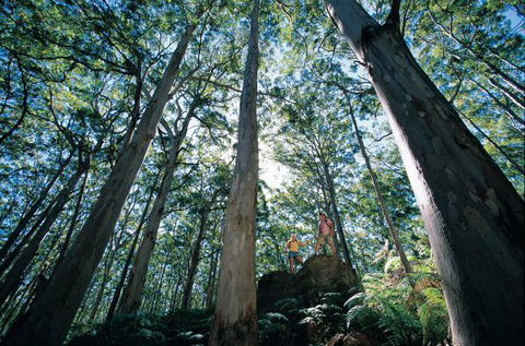 Point Road Camp At Leeuwin-Naturaliste National Park - Accommodation Gold Coast 1