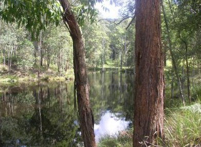 Kemeys At Mandalong - Accommodation Gold Coast 4