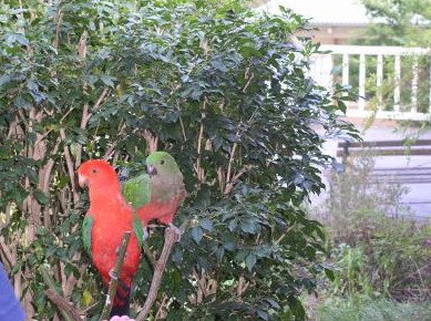 Kemeys At Mandalong - Accommodation Gold Coast 5