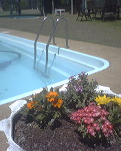 Gunning Motel - Accommodation Gold Coast 2