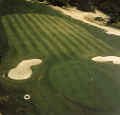 Emerald Golf And Country Resort - Accommodation Gold Coast 1