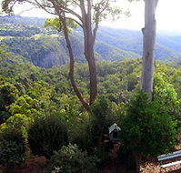 Mt Tamborine Motel - Accommodation Gold Coast