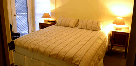 Alpine Ridge Lodge - Accommodation Gold Coast 2