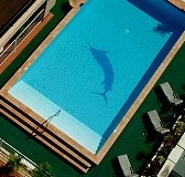 Pacific International Hotel - Accommodation Gold Coast