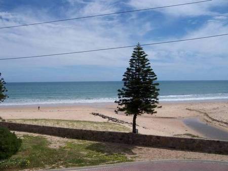 Christie's Seahorse - Accommodation Gold Coast 1