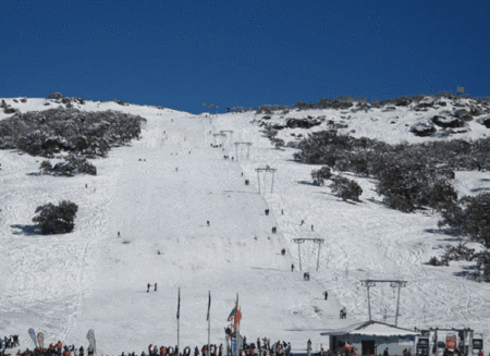 Lodge 21 - Accommodation Gold Coast 1