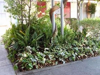 Comfort Inn Manhattan - Accommodation Gold Coast 2