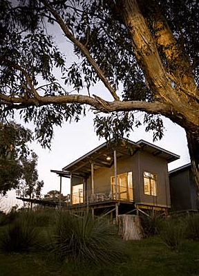 Longview Vineyard - Gold Coast 4U 1