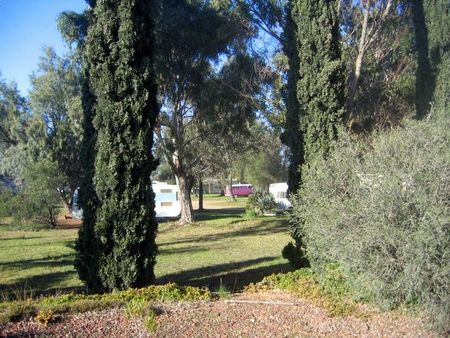 Rivers Edge Caravan Park - Accommodation Gold Coast 1