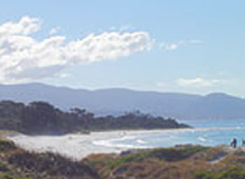 Bicheno On The Beach - Accommodation Gold Coast 5