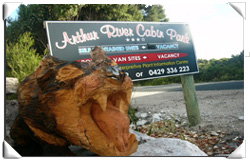 Arthur River Cabin Park - Accommodation Gold Coast 0