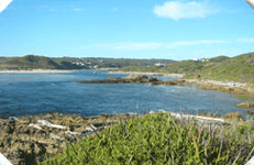 Arthur River Cabin Park - Accommodation Gold Coast 5