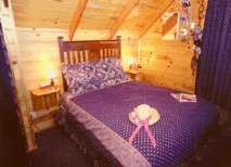 Carinya Farm Holiday Retreat - Accommodation Gold Coast 1