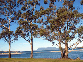 Island View Motel - Accommodation Gold Coast 3