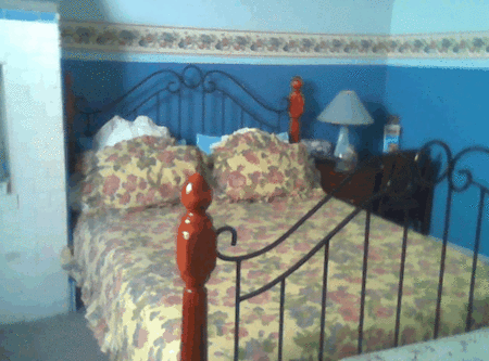 Hamilton Heritage Bed & Breakfast - Accommodation Gold Coast 2