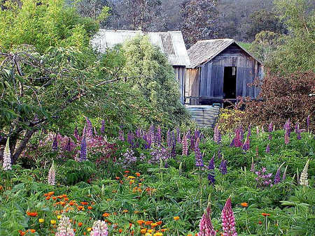 Hamlet Downs Country Accommodation - Accommodation Gold Coast 2