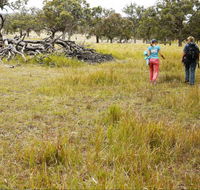 Carnarvon National Park camping - Accommodation Gold Coast