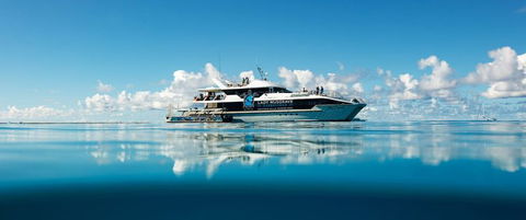 Bundaberg To Lady Musgrave Island Day Cruise - Accommodation Gold Coast 0