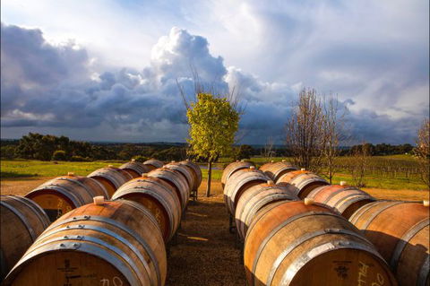 Barossa Chateau - Gold Coast 4U 4