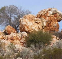 Credo Homestead Camp at Credo Conservation Park - Accommodation Gold Coast