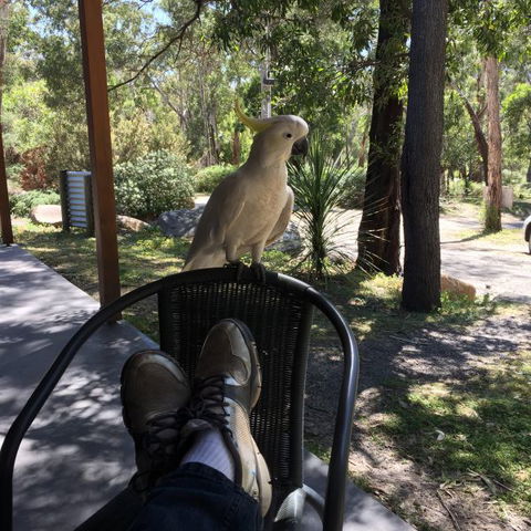 Gang Gang Villas - 1 Gold Coast 2