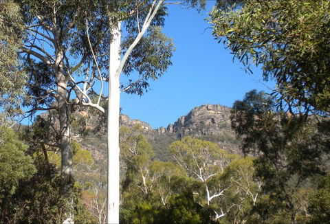 Gang Gang Villas - 1 Gold Coast 4