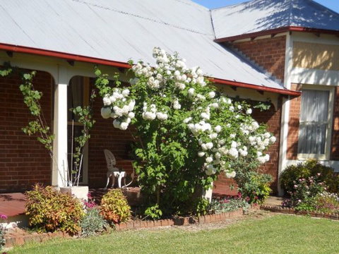 Strayleaves Elegant Accommodation - Accommodation Gold Coast 0