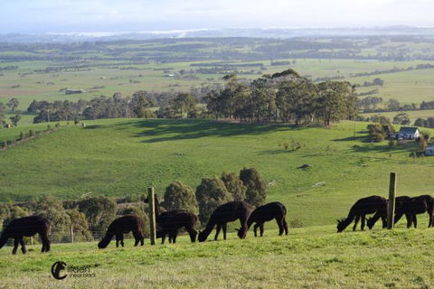 Clifden Cottage - Accommodation Gold Coast 7
