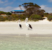Kangaroo Island Star Beach House - Accommodation Gold Coast