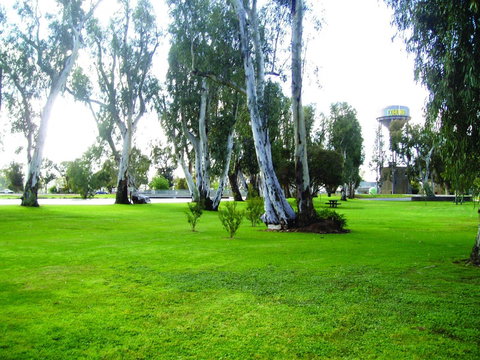 Cohuna Bankhead Terraces - Accommodation Gold Coast 6