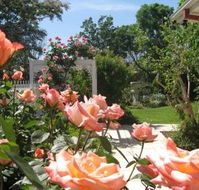 The Clarenton - Accommodation Gold Coast