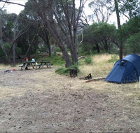 Allports Beach Camping Ground - Accommodation Gold Coast