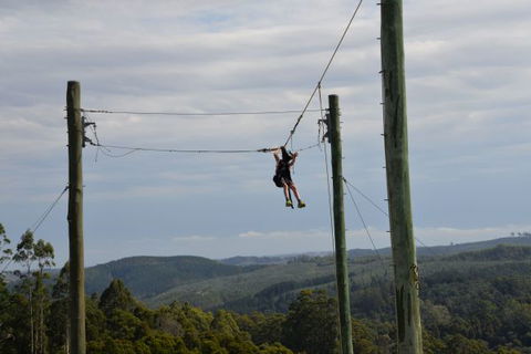 Allambee Camp - Accommodation Gold Coast 3