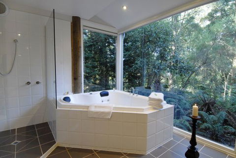 Arnica Views Summit Retreat - Accommodation Gold Coast 5