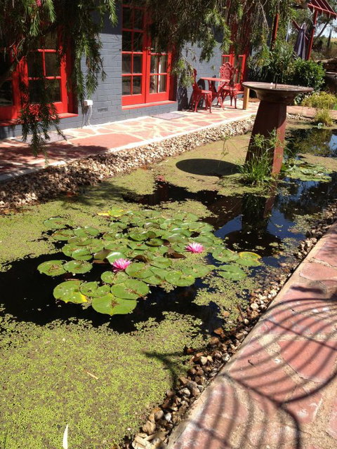 Artrocks Artist Retreat & Accommodation - Accommodation Gold Coast 0