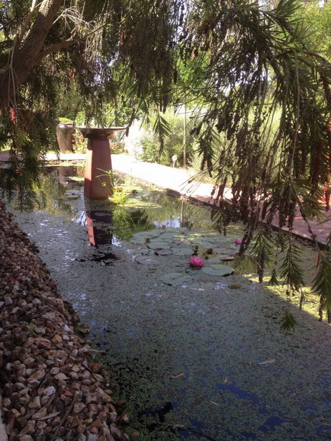 Artrocks Artist Retreat & Accommodation - Accommodation Gold Coast 1